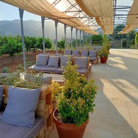 Romantic Stay In Grand Setting أليلا المظهر الخارجي الصورة