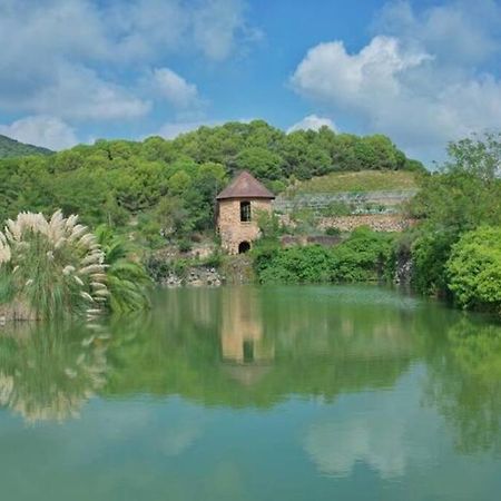 Romantic Stay In Grand Setting أليلا المظهر الخارجي الصورة