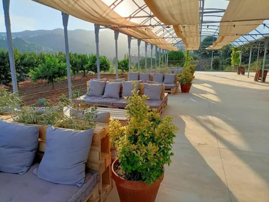 Romantic Stay In Grand Setting أليلا المظهر الخارجي الصورة