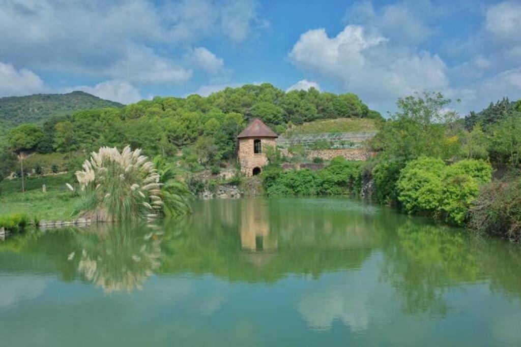 Romantic Stay In Grand Setting أليلا المظهر الخارجي الصورة